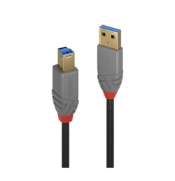 Cavo Lindy USB 3.0 Tipo A a B 3m [36743]