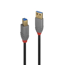 Cavo Lindy USB 3.0 Tipo A a B 5m [36744]