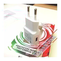 Alimentatore da rete Igloo Ricarica rapida Usb Bianco [GD-27W] No