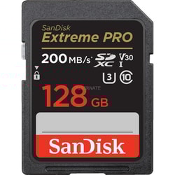 128Gb Scheda SD SanDisk SDXC Classe10 [SDSDXXD-128G-GN4IN]