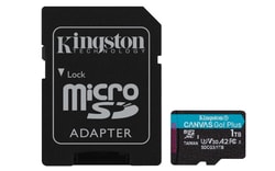 1TB Scheda Kingston microSD Canvas Go! Plus 170R Nero [SDCG3/1TB]