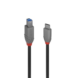 Cavo Lindy Usb 3.2 tipo C/B 3m Nero [36668]