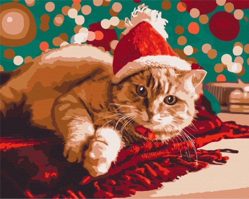 Natale Paint by Numbers Kits Completo di Pennelli, Pigmenti